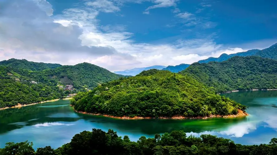 自动化高端
